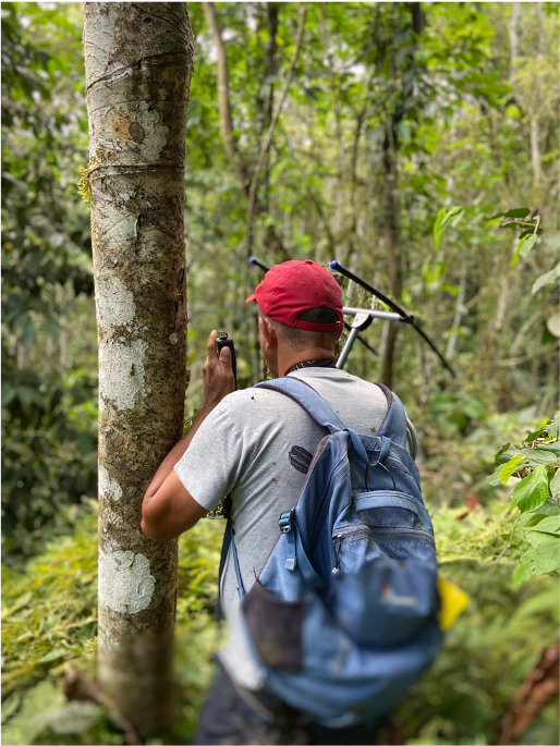 dialektical's tweet photo. This paper features 16 years of hard-won behavioral data collected by coauthor Jorge Olivo, a local community member affiliated with @FCAT_Ecuador. Jorge has been radio-tracking LWUMs and other birds since 2003 (and taught me telemetry at the start of my PhD!). https://t.co/C2Xk3sNdYu