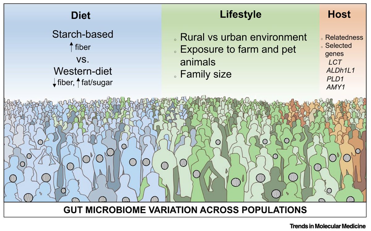 Marie-Claire Arrieta tweet media