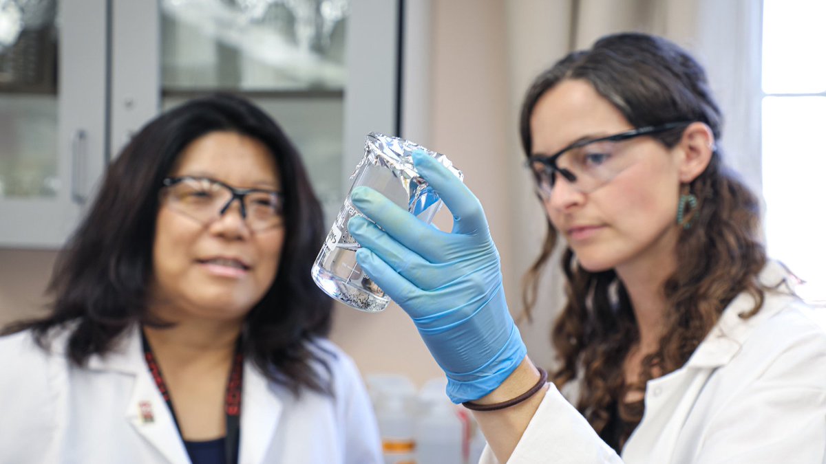 Adela de la Torre (@prezdelatorre) on Twitter photo Exciting news at <a href="/SDSU/">San Diego State University</a>! SDSU's 2022-23 research funding reached a record-setting $192.2M. Research is a core pillar of our 5-year strategic plan, creating opportunities for students & faculty, driving expansion, and addressing society's challenges. bit.ly/3Qe5mIT Exciting news at <a href="/SDSU/">San Diego State University</a>! SDSU's 2022-23 research funding reached a record-setting $192.2M. Research is a core pillar of our 5-year strategic plan, creating opportunities for students & faculty, driving expansion, and addressing society's challenges. bit.ly/3Qe5mIT