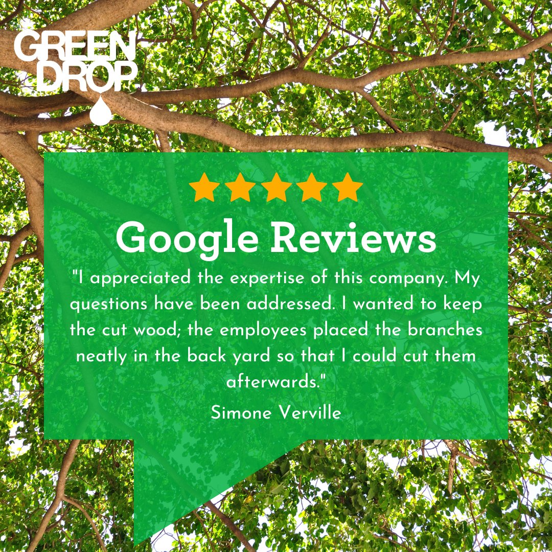 GreenDropTrees's tweet image. Customer experience is our top priority! We love hearing that we have made this subscriber&apos;s experience enjoyable! 🪵 Thanks for the kind review, Simone! 👏 😊

#GreenDropTreeCare #ItsBeautifulOutside #FiveStarReview #GoogleReview #TeamGreen #TreeCare #TreeCareCommunity