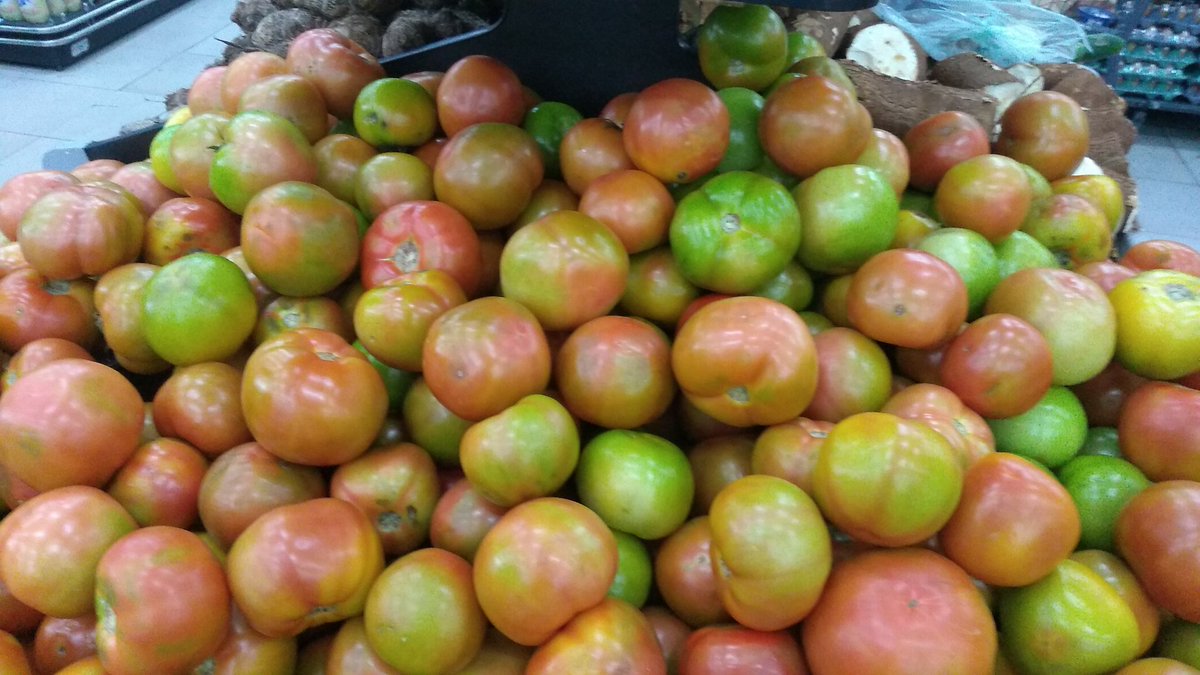 Os tomates são verdes ou vermelhos ❓