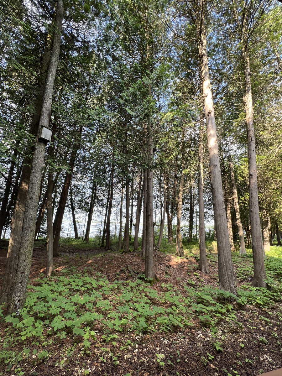 mslowpaz's tweet photo. On vacation and logged on to one of my fave #arted conferences #NOWconference w @theartofed enjoying nature and learning! @NewmanKaileigh @TrentGJohnson https://t.co/bLjMNZLAZz
