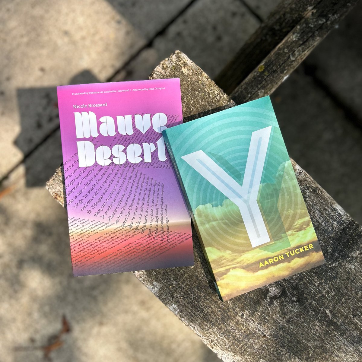 Coach House Books tweet media