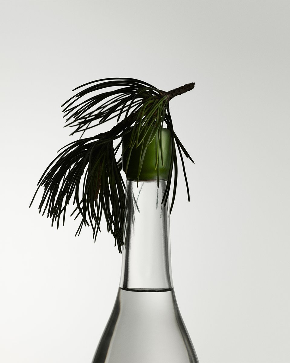 Approximately 69% of Sweden's land area is covered by forests. Norrbotten is known for its vast and extensive forested landscapes, which are an important part of our natural heritage. 

FUSION.002.Forest is our tribute to Norrbottens forest.