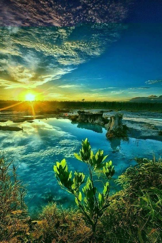 Jutta Streicher 🕊️ tweet media