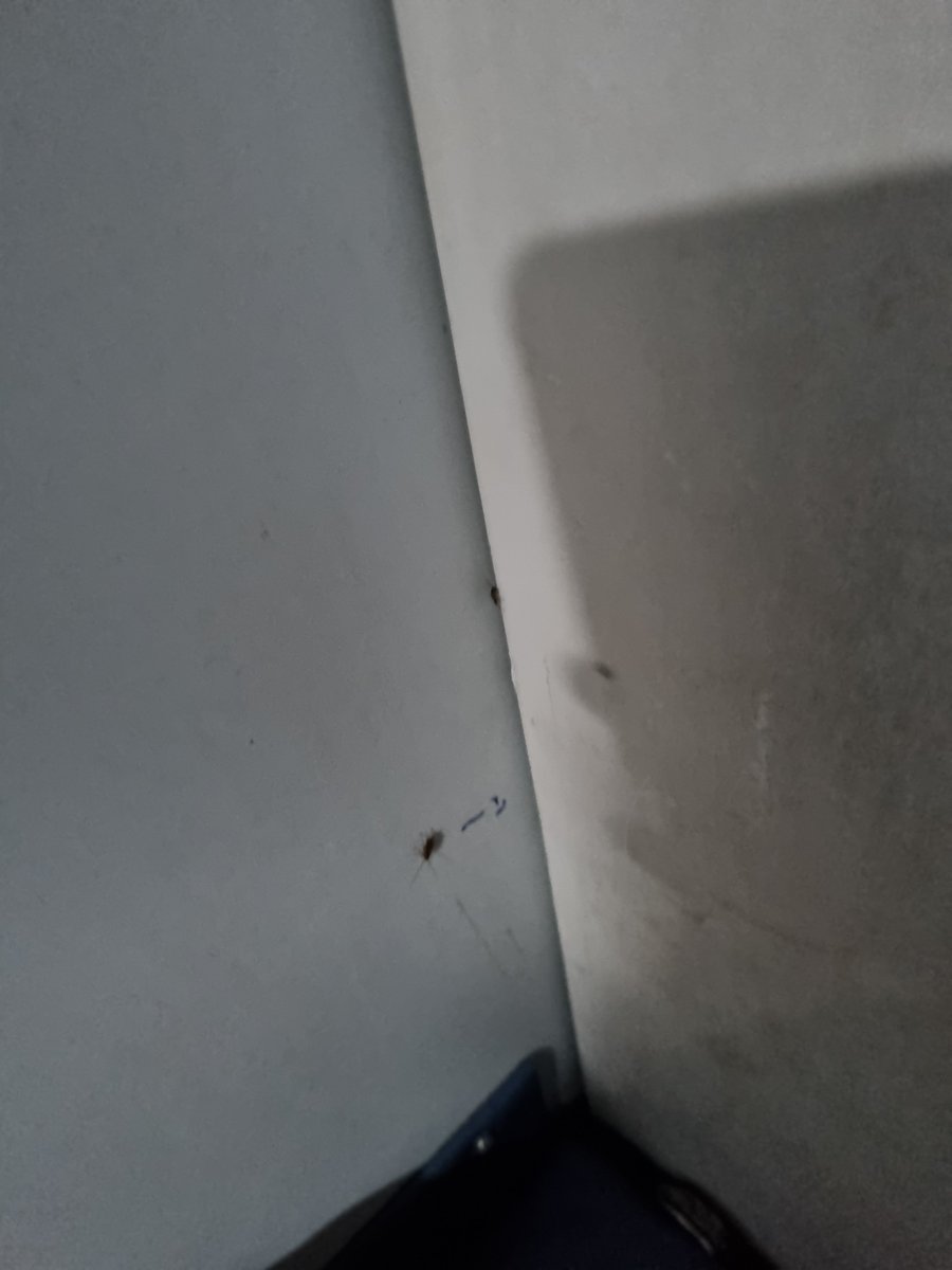 therailvlog's tweet photo. Hi Sir I am traveling in Train No.16832 till pune there are so many cockroach in 3A Coach kindly look into this matter B1 Seat No.31
@RailwaySeva @GMSRailway https://t.co/cCvaYs9j93