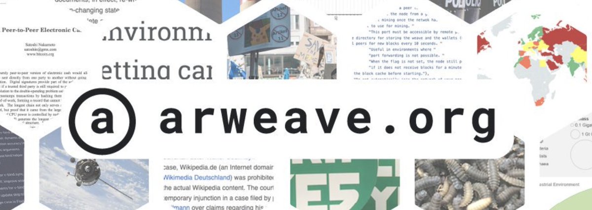 講到隱私，當然要說到去中心化的儲存系統龍頭
Arweave （AR）
去中心化存儲網絡，提供無限期存儲數據的平台
將自己描述為“一個永遠不會忘記的集體所有的硬盤”，主要託管“permaweb”——一個永久的、去中心化的網絡

由著名風投 a16z 領投、Coinbase Ventures、Horowitz、1kx、LedgerPrime等多家機構投資