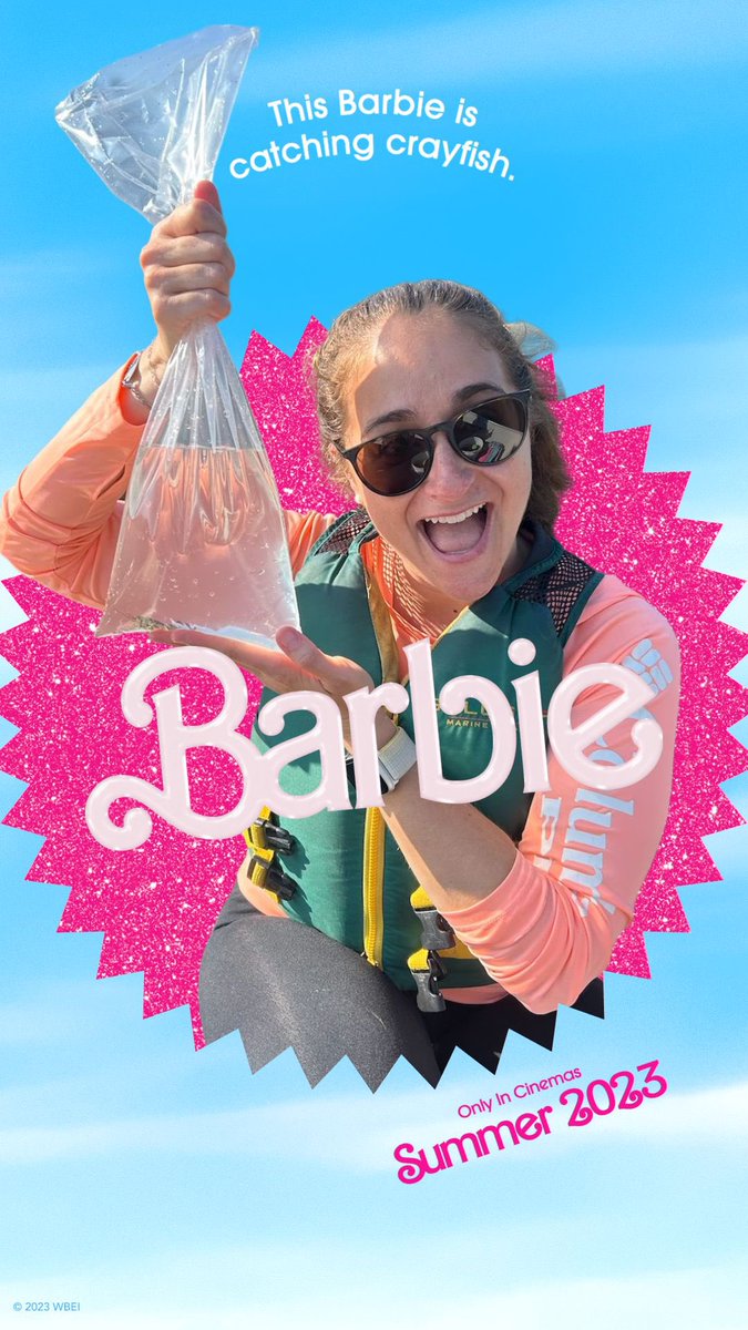 IISD Experimental Lakes Area tweet media