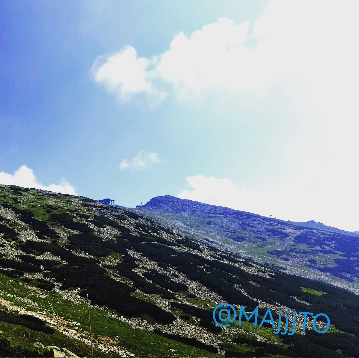 Majjto's tweet photo. https://t.co/LBxZtvexML