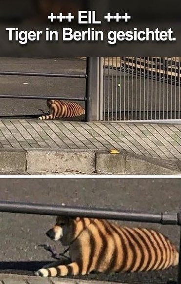 MoorBulle's tweet photo. Oh no 😳 https://t.co/8Nj8yaYnT6
