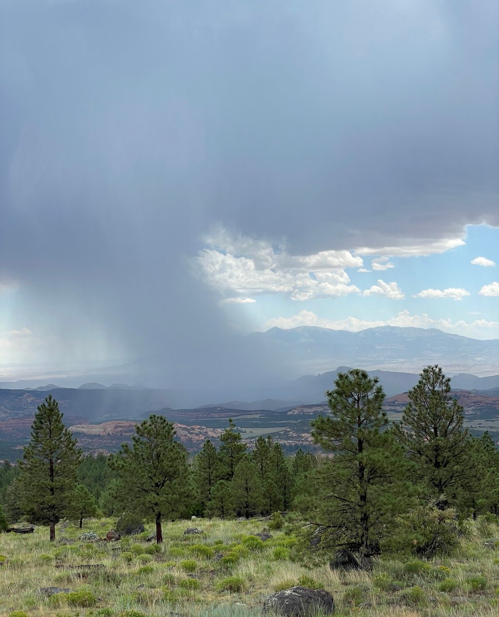 ettaplacecider's tweet image. Monsoons have cooled us off! If you are dying to get out of the heat, take a look at the Torrey weather. We'll have the cold cider waiting. #CapitolReefCountry #GoHigh #utwx