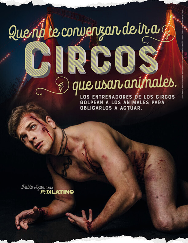 PETA Latino tweet media