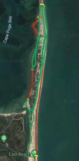 TheTrusteesMV's tweet image. #BeachupdatesMV New Bayside trail openings at Cape Poge. Cedars and Simon&apos;s Point OSV restrictions remain. Leland Beach OSV restrictions due to piping plover chicks.