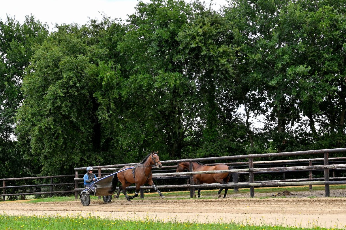 Trotteurs1's tweet photo. 📸 JLL-LeTROT https://t.co/o02L2UclDl