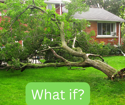 NelsonInsLLC's tweet image. Who is responsible when a tree falls on your house? If it's your tree, your insurance typically covers the damage. If it's your neighbor's tree, their insurance may cover it. #HomeInsuranceTips #StormDamage (724) 254-9276 nelsoninsurance.net/auto-home-and-…
