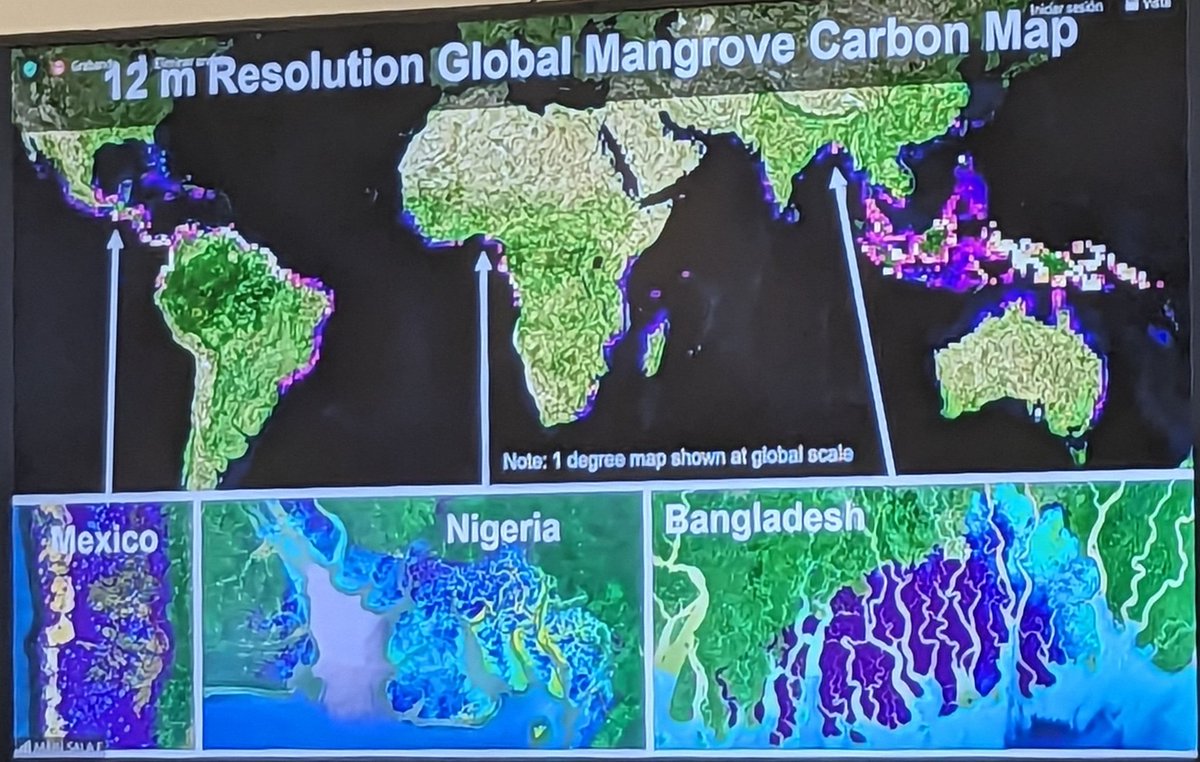 Hannah Bowen (@hjamesbowen) on Twitter photo Wow! Very exciting and hopeful presentation by <a href="/StovallAtticus/">Atticus Stovall</a> on 3-D structural signatures of global mangroves.
This high precision database will undoubtedly improve mangrove forest carbon stock estimations, restoration, and conservation efforts worldwide. #mmm6 #GEDI Wow! Very exciting and hopeful presentation by <a href="/StovallAtticus/">Atticus Stovall</a> on 3-D structural signatures of global mangroves.
This high precision database will undoubtedly improve mangrove forest carbon stock estimations, restoration, and conservation efforts worldwide. #mmm6 #GEDI