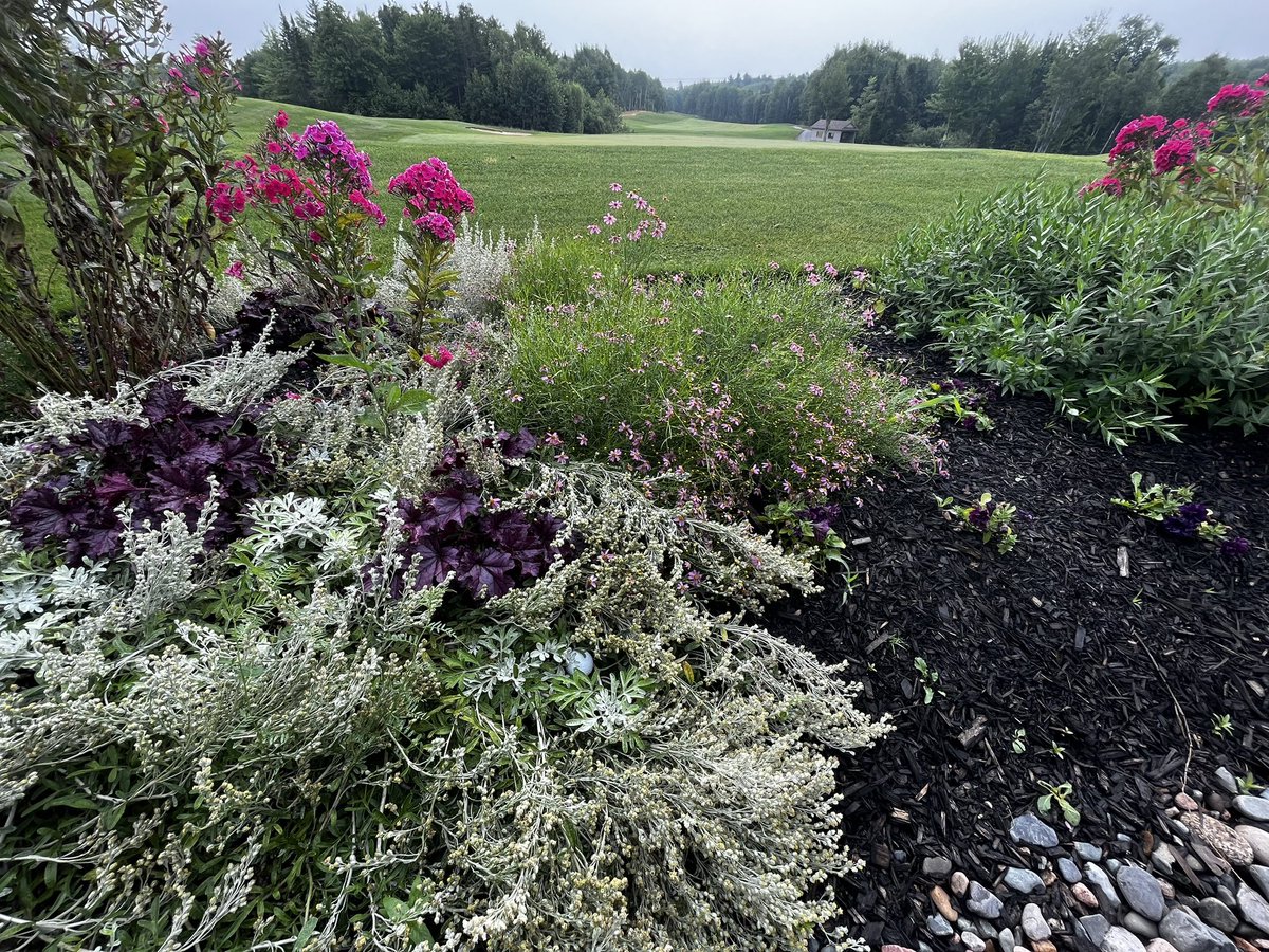 Found a ball this morning; two feet from the club house deck, 80 feet from the green.  I would have left it there as well.  <a href="/WestHillsGC/">WestHillsGolf</a>