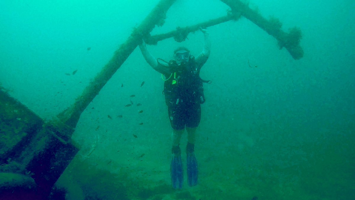 Miss Sutton PE tweet media