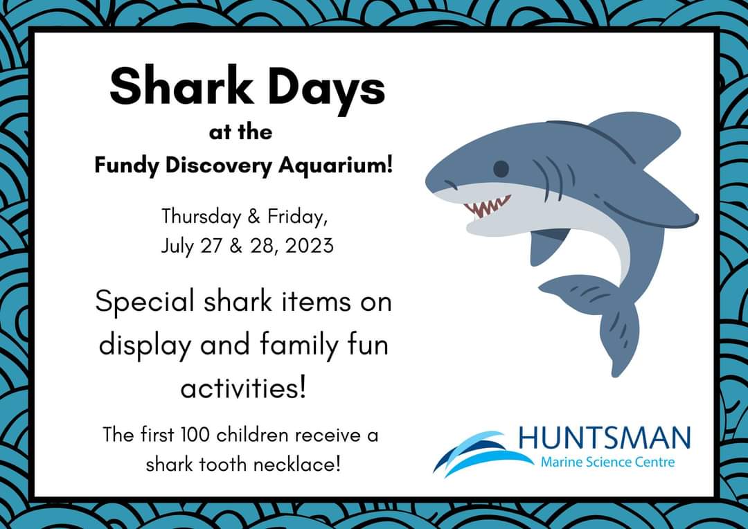 Huntsman Marine tweet media