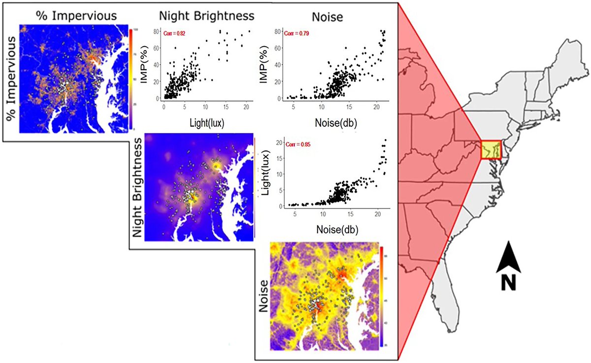 Using 20 years of band-resight data collected as a part of the Neighborhood Nestwatch Program (NN), a #citizen science project run by @SMBC at 242 sites in greater Washington, D.C. USA, we estimated apparent survival & documented species-specific relationships w/ light and noise.