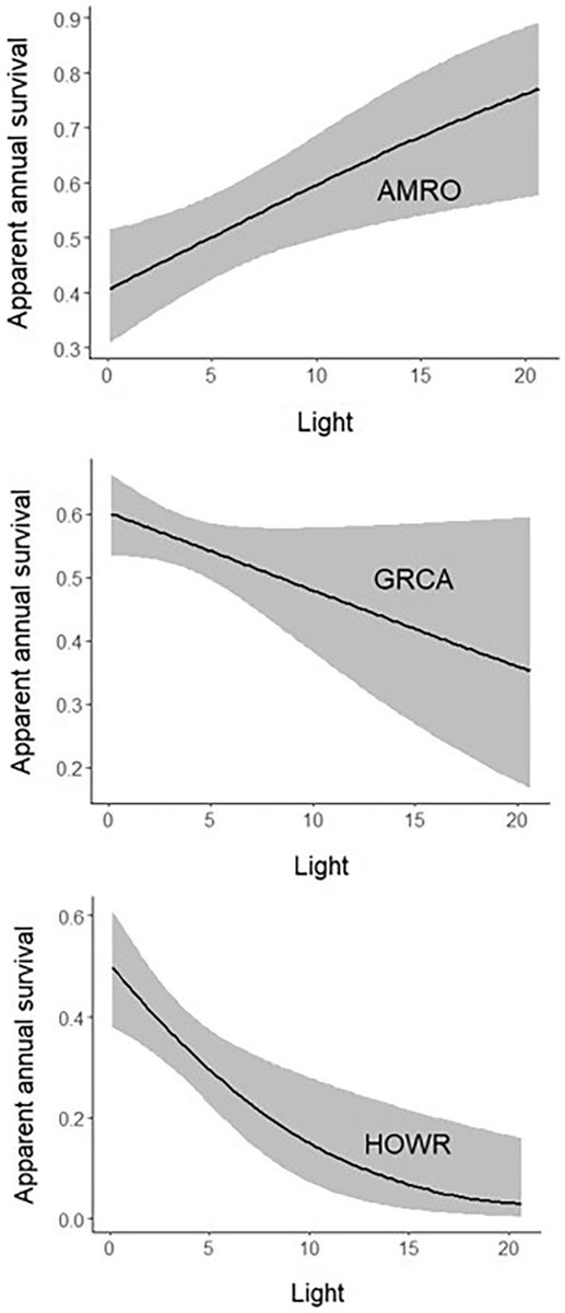 We found that Gray Catbird & House Wren survival decreased, while American Robin survival increased with greater amounts of anthropogenic light. Anthropogenic noise seemed to have no relationship with apparent survival for any of the seven species.