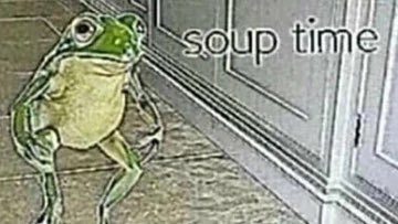 ellengland's tweet photo. my brain when it’s been overcast for 3 days in the middle of summer https://t.co/4ZDjidjHwI