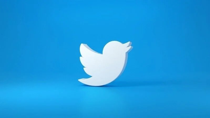 TheTotallySoph's tweet photo. who wants the bird back? https://t.co/Menfrxnpcc
