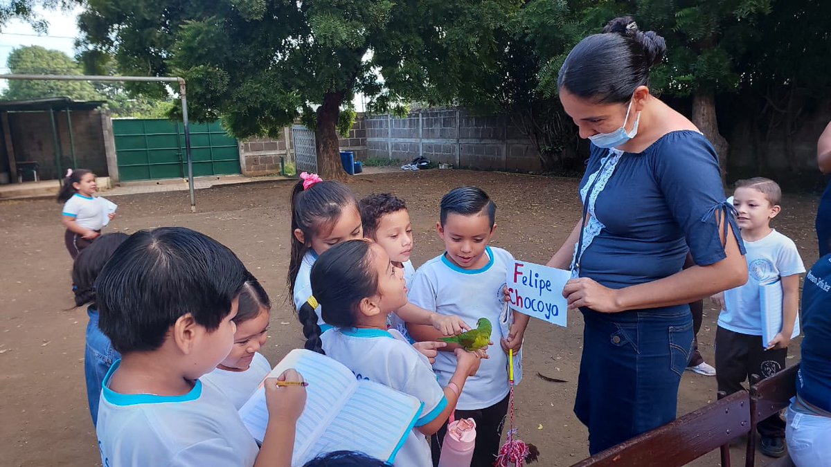 EnriqueReparto's tweet photo. Experiencia de aprendizaje de los estudiantes de Educación Inicial:  Exploración y observación de las características de los animales voladores, terrestres y acuáticos.
Agradecemos la colaboración y participación de los padres y madres de familia.
#Relaciones
#MesDelMedioAmbiente https://t.co/zpWD1fOlK7