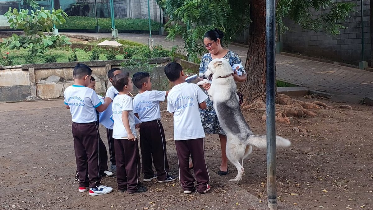 EnriqueReparto's tweet photo. Experiencia de aprendizaje de los estudiantes de Educación Inicial:  Exploración y observación de las características de los animales voladores, terrestres y acuáticos.
Agradecemos la colaboración y participación de los padres y madres de familia.
#Relaciones
#MesDelMedioAmbiente https://t.co/zpWD1fOlK7