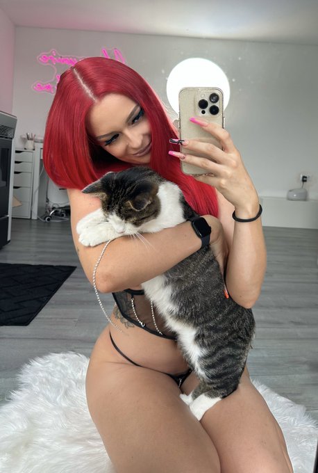 Meine Katzen bei&szlig;en nur n bisschen https://t.co/BrFqAcV0R5