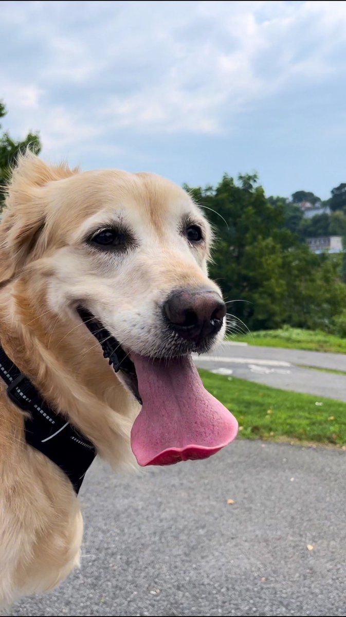 Mary Richardson tweet media