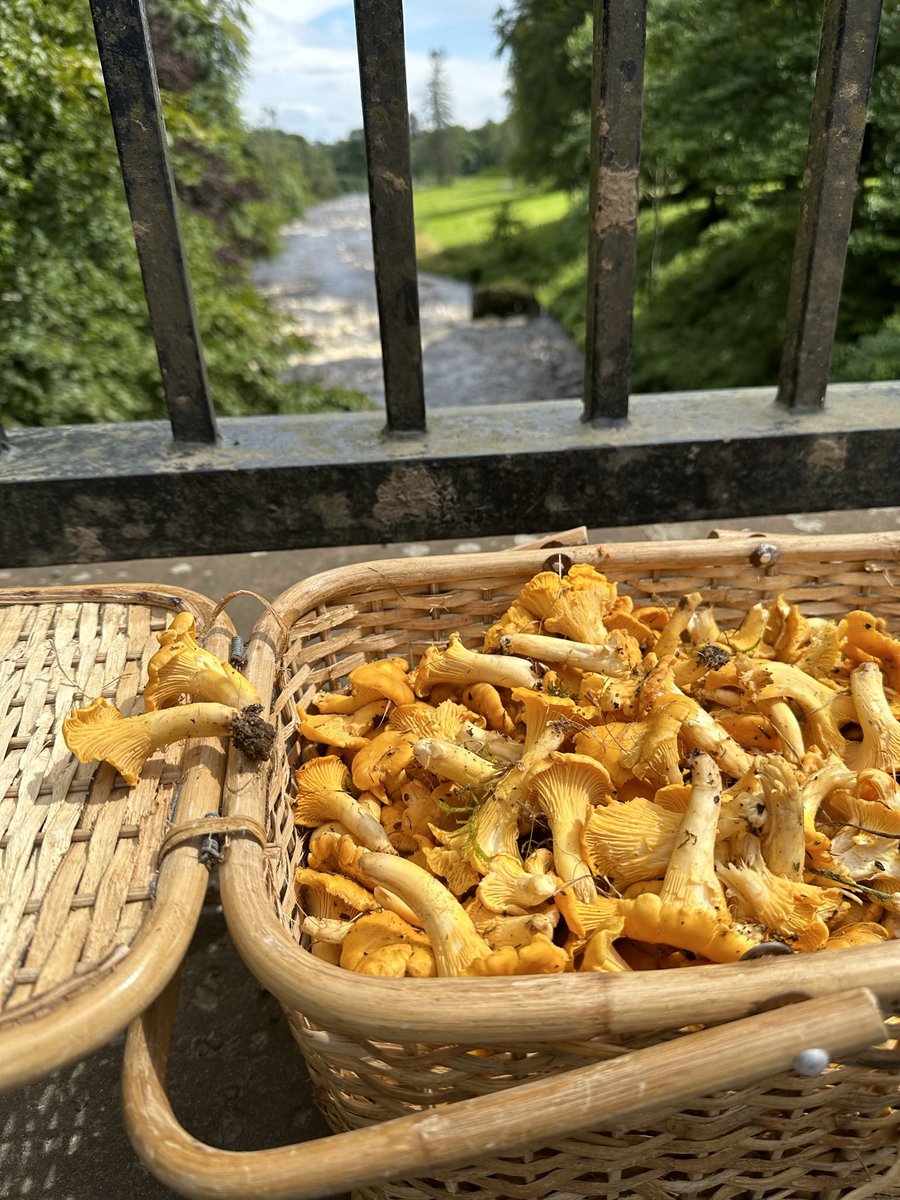 Robin Smith tweet media