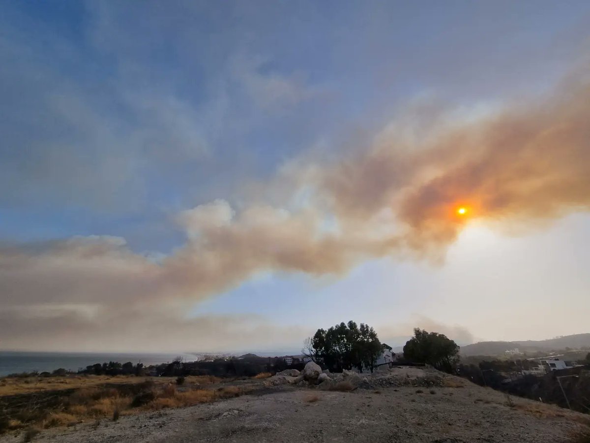 Elisa_Dossi's tweet photo. Il sole arancione non è1tramonto greco. Cambia colore,offuscato dal https://t.co/h19EPn8m8P crisi climatica,i danni umani al pianeta non hanno nulla d romantico.Semmai,fanno paura. Vanno ripiantati 80mila ettari d alberi.1ecosistema intero,morto,tra i tronchi neri #CLIMATECRISIS https://t.co/oo0dmNWVlV