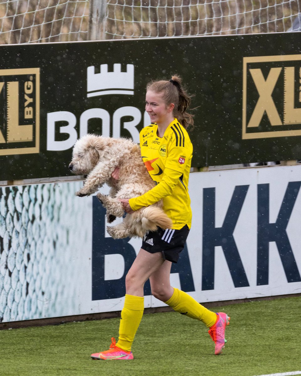 Throwback Thursday when @hbtorshavn vs NSI Women played in April 23rd 2023. We had a friendly pitch invader that one of the @nsirunavikfc women were kind enough to remove this friendly 🐶 #throwback #throwbackthursday #football #women #soccer