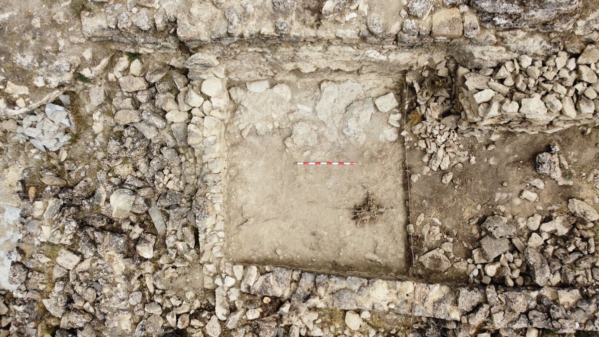 Asociación Frente Sur tweet media