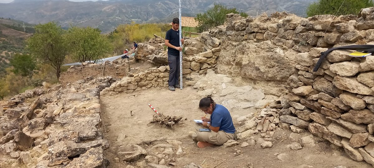 Asociación Frente Sur tweet media