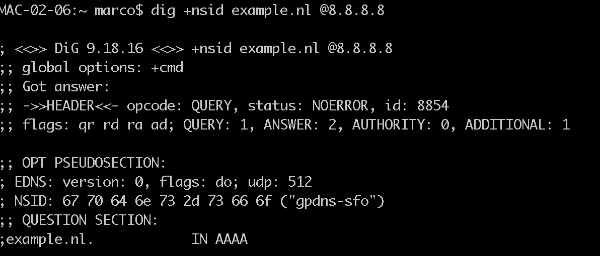 「𝗠𝗮𝗿𝗰𝗼」🐕🚶🏼 tweet media