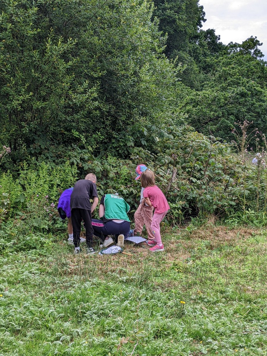 FOBHGCN's tweet photo. Our children’s safari event was a huge success yesterday. Many thanks to our volunteers who gave up their time to make it happen! Approximately 200 attended! 
 
1/3 https://t.co/cQGcHHCTq7
