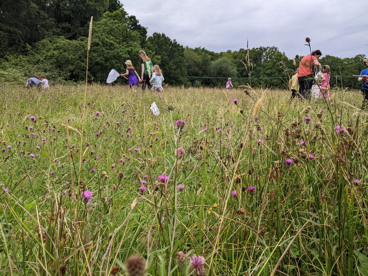 FOBHGCN's tweet photo. Our children’s safari event was a huge success yesterday. Many thanks to our volunteers who gave up their time to make it happen! Approximately 200 attended! 
 
1/3 https://t.co/cQGcHHCTq7