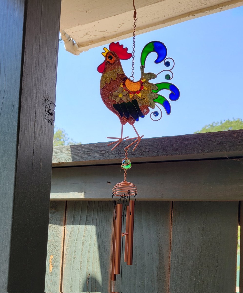 Lilit- None Gender: Left Beef tweet media