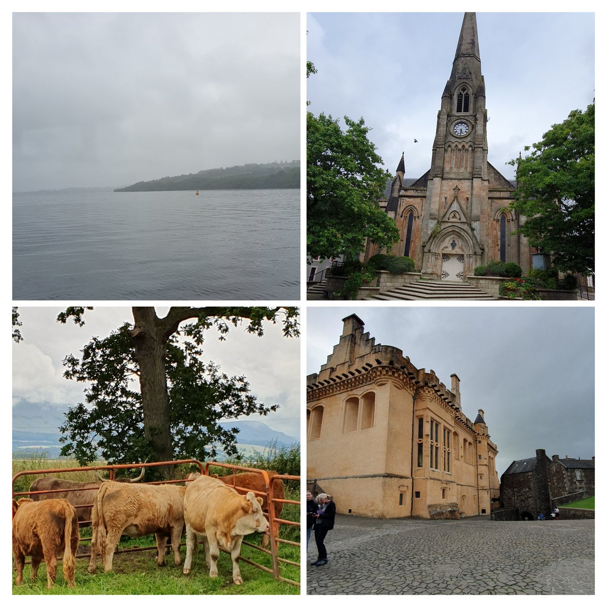 Bboop259's tweet photo. A mix of weather, but the @EEEStrathclyde Summer School had fun wherever we went. 
Lochs, castles abd even some Highland cows! https://t.co/3F5sZ4KSPZ