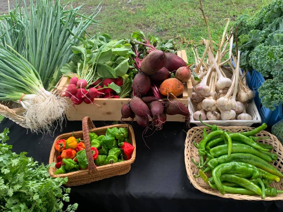 LowellFarmCTI's tweet photo. LOWELL FARMERS' MARKET WILL BE CLOSED THIS FRIDAY, JULY 28TH due to the Lowell Folk Festival taking place throughout the city. Be sure to return next Friday,  August 4th, when we will be open 11-3pm - and every Friday after that through October 27th. 

https://t.co/VMLfP00H5R https://t.co/kld42e5diV