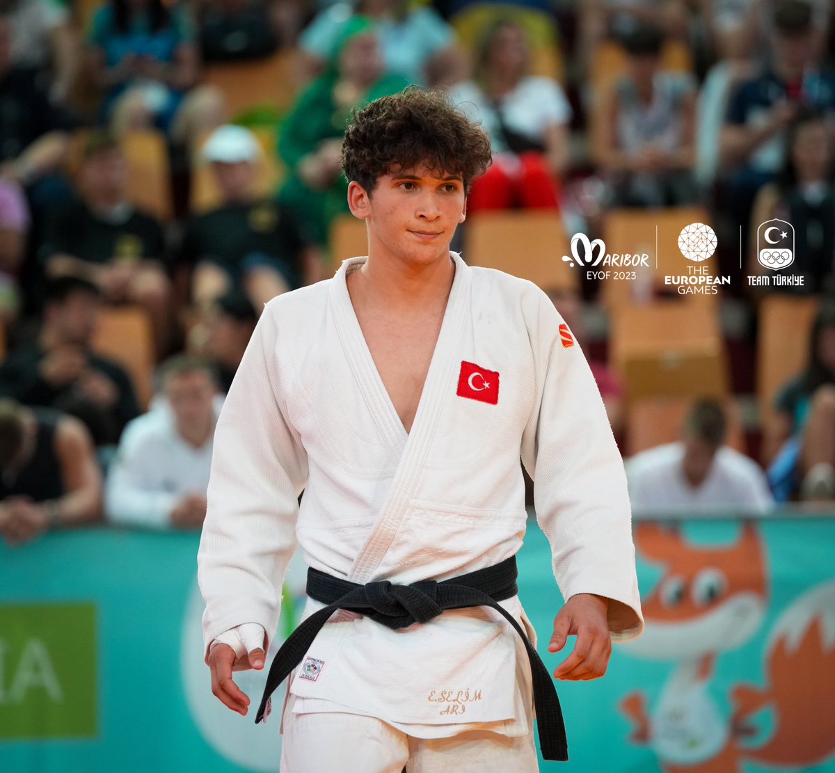 TMOK_Olimpiyat's tweet photo. Altın Madalya Emir Selim Arı’nın🥇

Maribor 2023 Avrupa Gençlik Olimpik Yaz Festivali’nde erkekler -81 kiloda mücadele eden milli judocumuz Emir Selim Arı finalde Gürcü rakibini yenerek altın madalyanın sahibi oldu.🇹🇷🥋

Tebrikler Emir 👏🏻

#EYOF2023 #EYOFMaribor2023 

@turkjudo https://t.co/dfQSdvwyLg