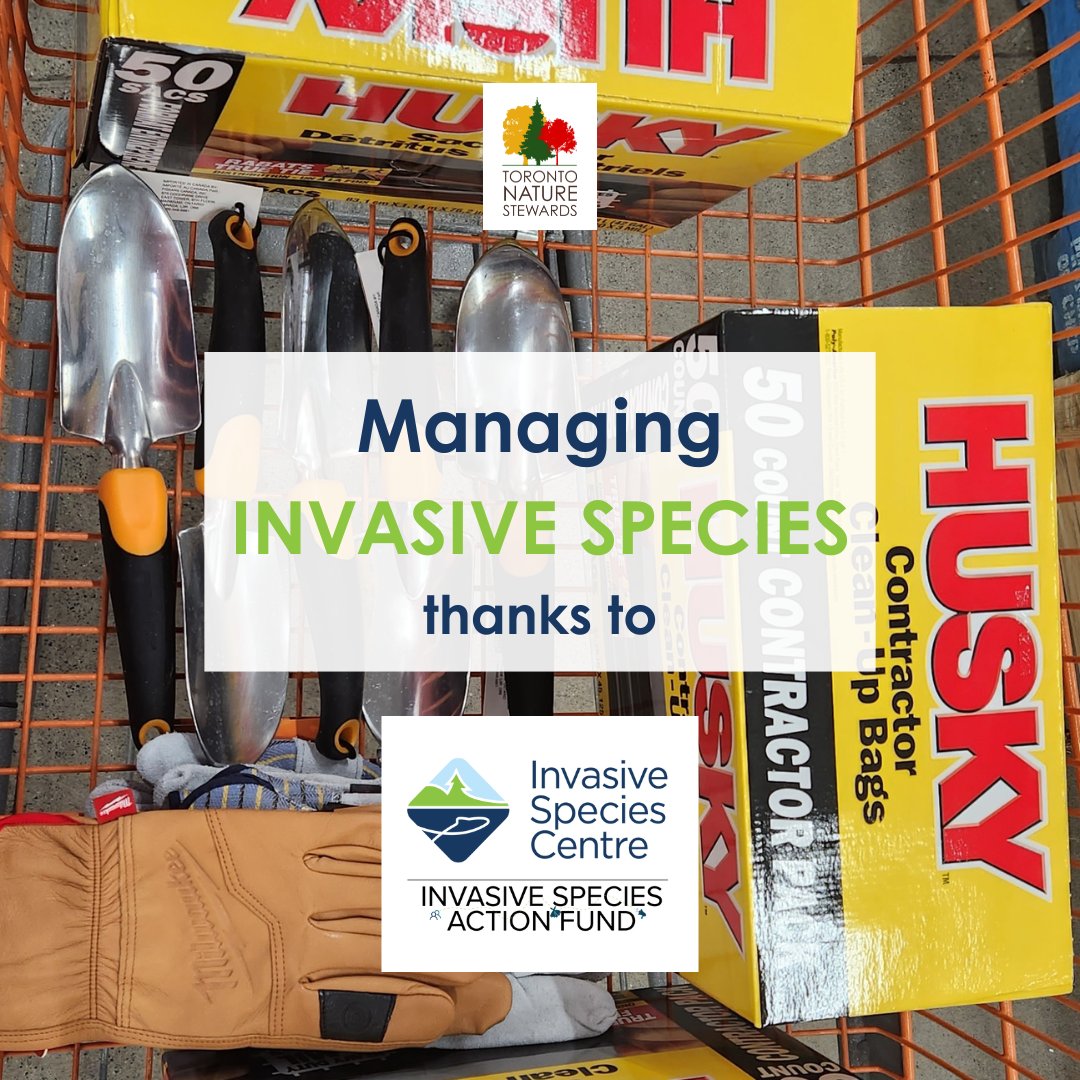 We are pleased to receive funding from ISAF for equipment and outreach materials at our Leaside Park and Newtonbrook Creek sites!

#torontoravines #stewardship #TOravines #urbanlandscape #torontoparks #volunteertoronto #invasivespecies #invasiveplants #community #restoration