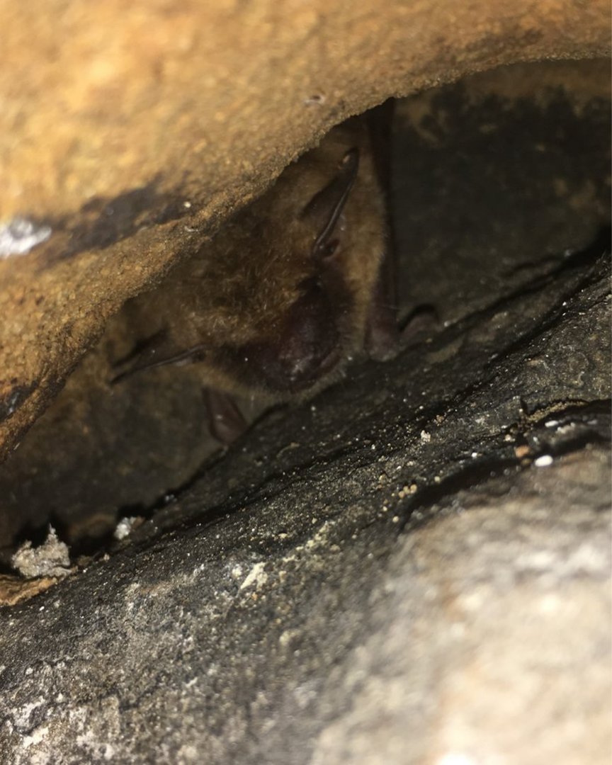 Access Fund tweet media