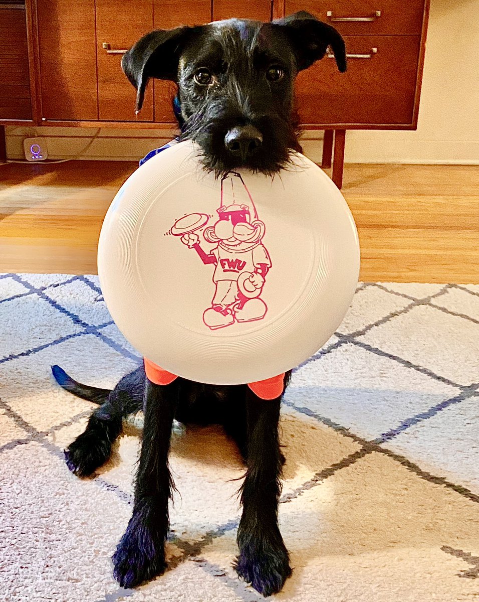 Fort Wayne Ultimate tweet media