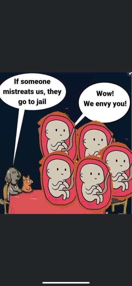 troycapt1's tweet photo. Now no Karen take this the wrong way. I don’t agree with animal cruelty whatsoever, but animals should not have better protection or laws that human fetuses or children. ￼ https://t.co/LGDzfszkpK