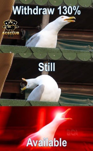 Contact Our 24hours Customer Service👩‍💻Now!!!
Our service is desirable for you
📲Whatapps Rec1: aceclub88join.wasap.my
📲Telegram ID ; Aceclub88rec1"