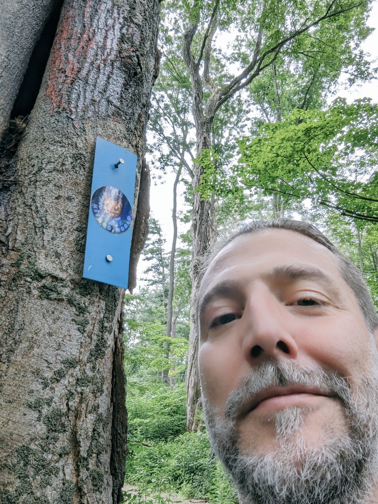 Josif Rose 🎨🐾🎧⚔️ tweet media