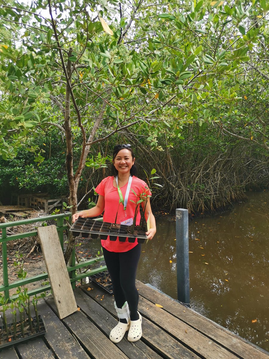 Alison Wee tweet media